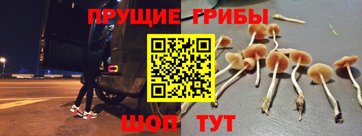 Моздок  Псилоцибиновые грибы GOLDEN TEACHER  Вход с VPN 